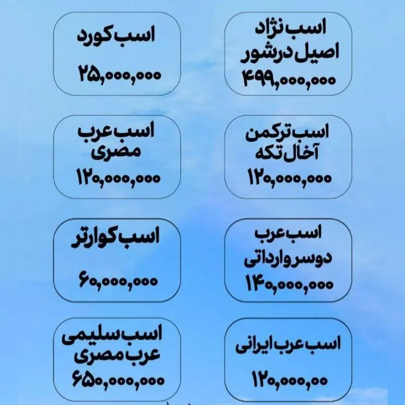 قیمت اسب