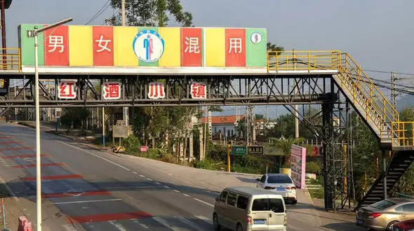 نصب توالت روی پل هوایی+تصاویر