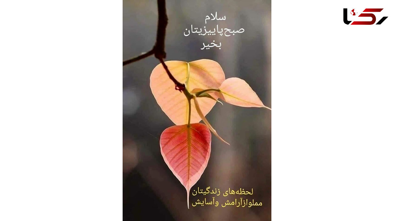 فال ابجد دقیق و درست 8 آبان 1402 + فیلم