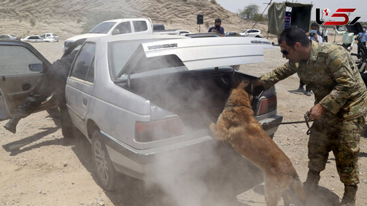 Iranian police seize over 1 ton of narcotics in Yazd