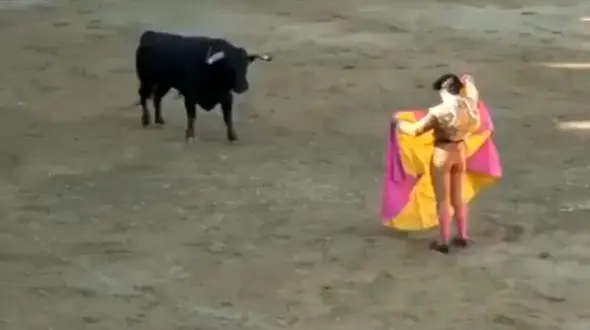 گاوباز اسپانیایی مغلوب گاو عصبانی شد + فیلم
