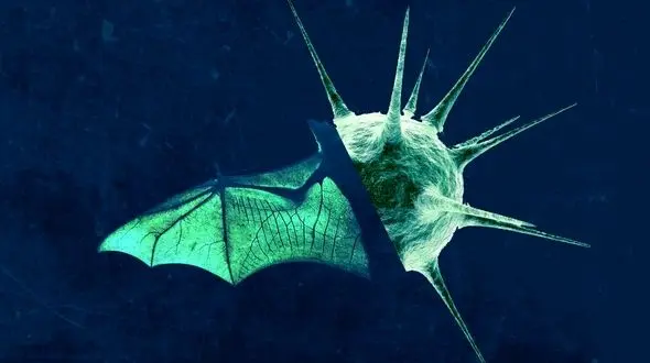 احتمال حمله "نئوکو" سویه جدید کرونا به جهان / تزریق دز سوم واکسن کرونا اجباری شود