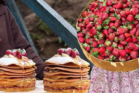 طرز تهیه مربا و پنکیک توت فرنگی به سبک غذای روستایی ایرانی + فیلم
