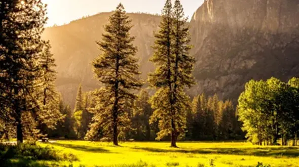 ازوقتی همه میگن غیرممکنه تا هر شکست فقط یه سکوی پرتابه