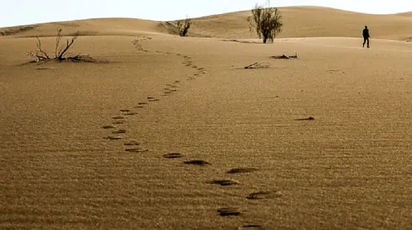 گمشدن همزمان 5 کودک در خوسف خراسان جنوبی + آخرین خبر