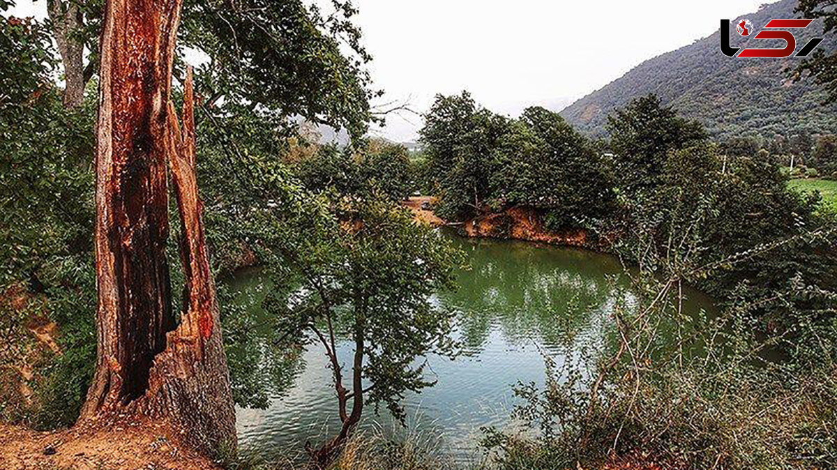 زیبایی های چشمه گل رامیان در گلستان