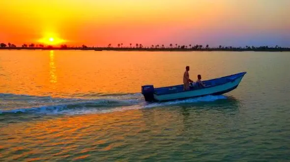 شوهرم تنها به گردش می رود 