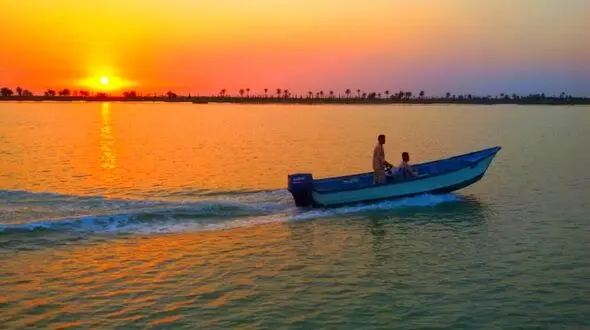 شوهرم تنها به گردش می رود 