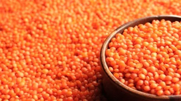 نرخ مصوب حبوبات غیر شرکتی در میادین میوه و تره بار
