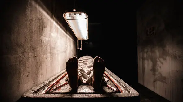 داماد ایرانی پدر و مادر زنش را در ترکیه کشت / اجساد 3 ماه در فریزر خانه بود !