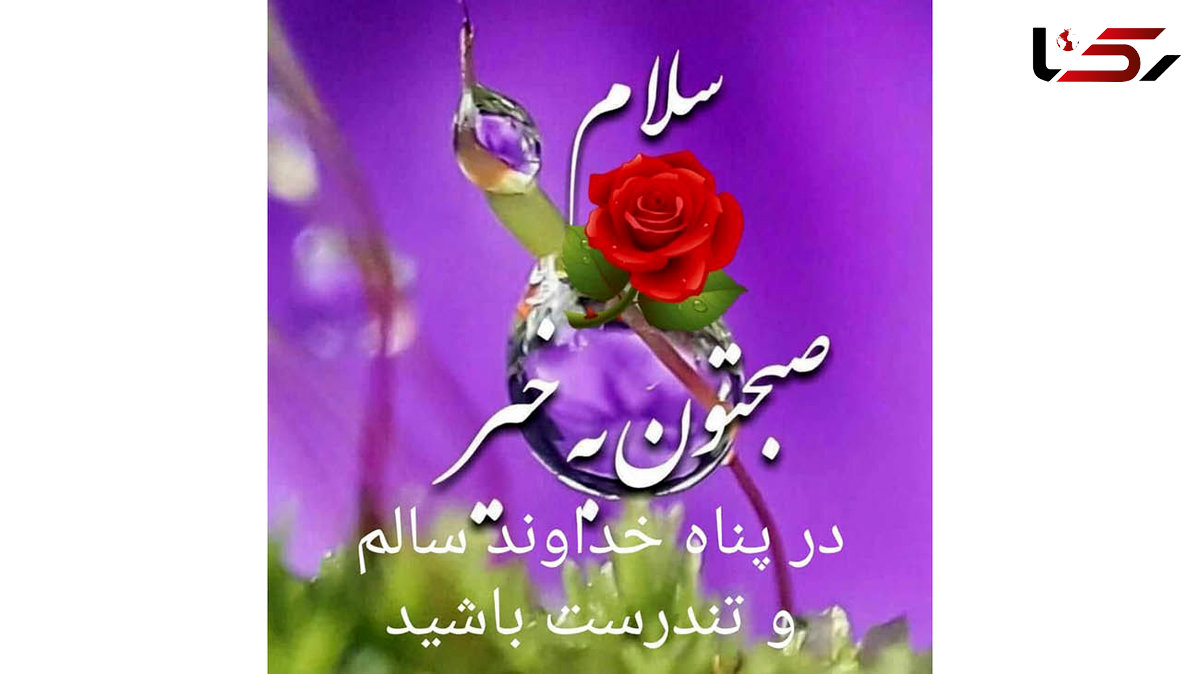 فال روزانه شخصی / 9 آذر ماه + فیلم