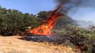 آتش سوزی جنگل های دنا به روز سوم کشید