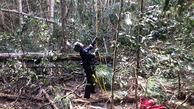 آخرین جسد حادثه سقوط هلی کوپتر در جنگل پیدا شد+تصاویر 