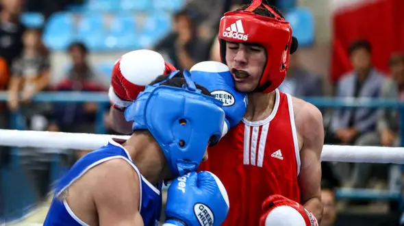 بوکسور همدانی ضربه مغزی شد
