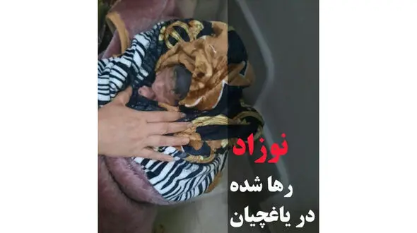 نوزاد تبریزی چند ساعت بعد از تولد آواره خیابان ها شد / شب گذشته رخ داد