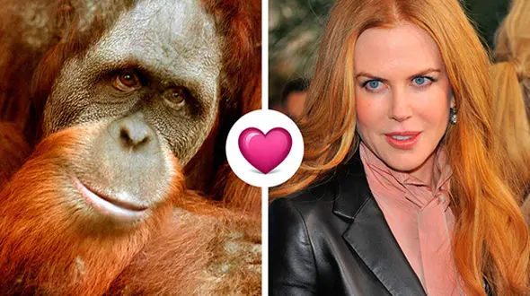 حیوانی که نیکول کیدمن را دزدید+عکس