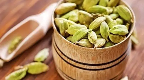 درمان فوری گلو درد پاییزی با یک گیاه خوشبو