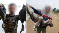 نسل کشی پرندگان مهاجر توسط جوانان بی کار خوزستانی! + عکس