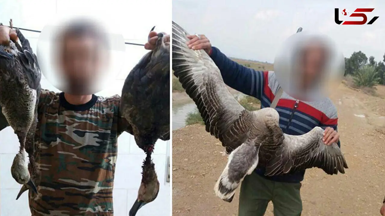 نسل کشی پرندگان مهاجر توسط جوانان بی کار خوزستانی! + عکس