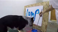 سگ باسواد اسم خود را می نویسد+عکس