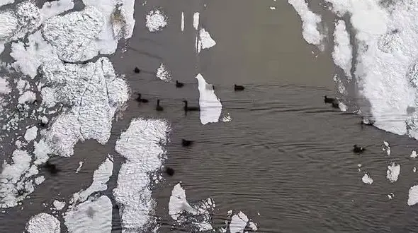 چغاخور؛ آینه‌ای از یخ و آسمان + فیلم