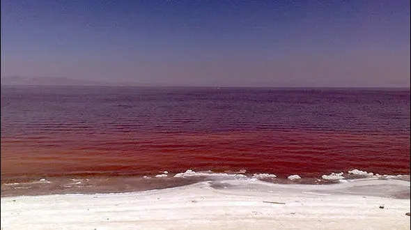   دلیل قرمز شدن دریاچه ارومیه+عکس
