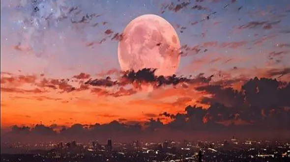 فال و طالع بینی روزانه 7 اردیبهشت + فیلم 