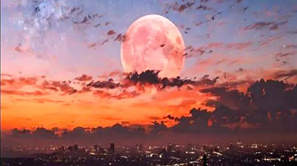 فال و طالع بینی روزانه 7 اردیبهشت + فیلم 