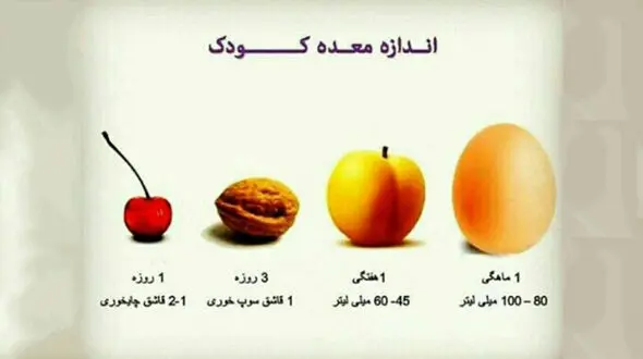 اندازه معده نوزادان و حجم غذایی که لازم دارند