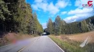 فیلم لحظه تصادف هولناک یک گوزن با خودروی سواری در جاده جنگلی 
