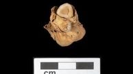 کشف گنج عجیب در دهان جسد زن 3 هزار ساله + عکس