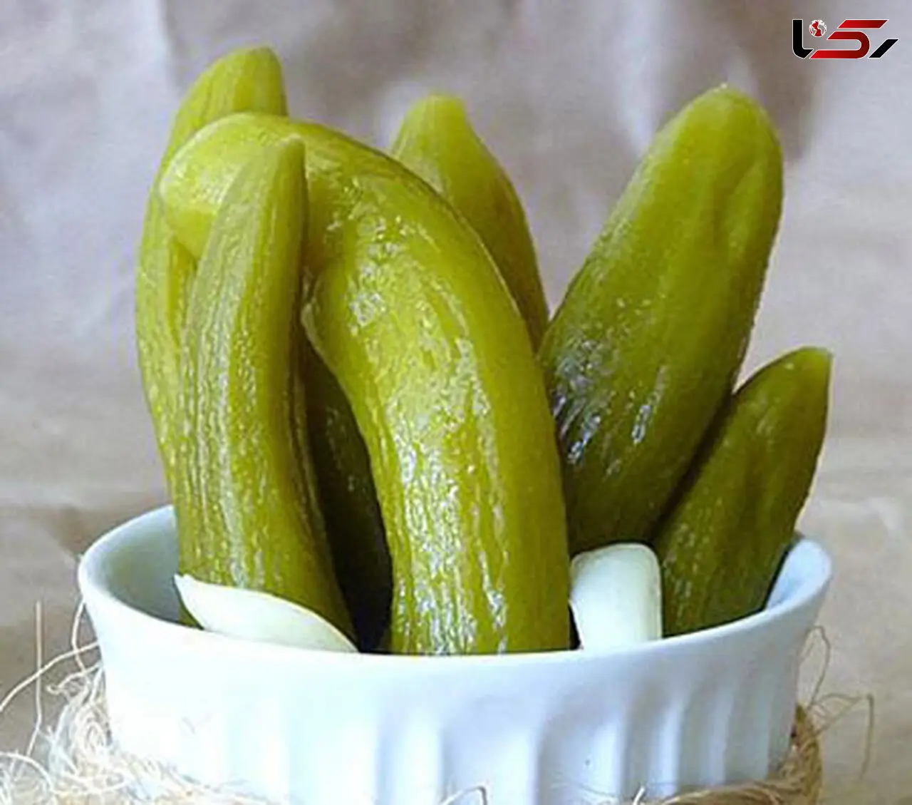 خیار شور خونگی رو چه طوری نگه داریم که کپک نزنه
