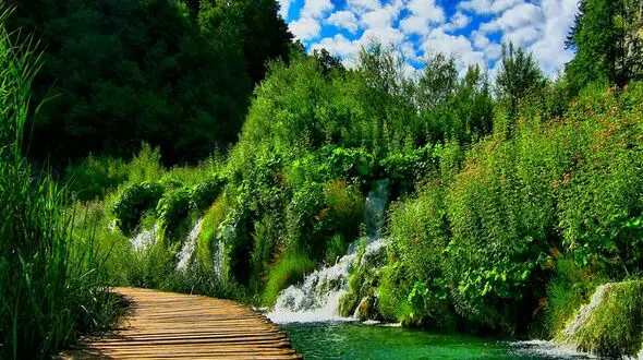 در تاریک‌ترین زمان‌ها هم اگر به روشن کردن نور فکر کنیم امید وجود دارد