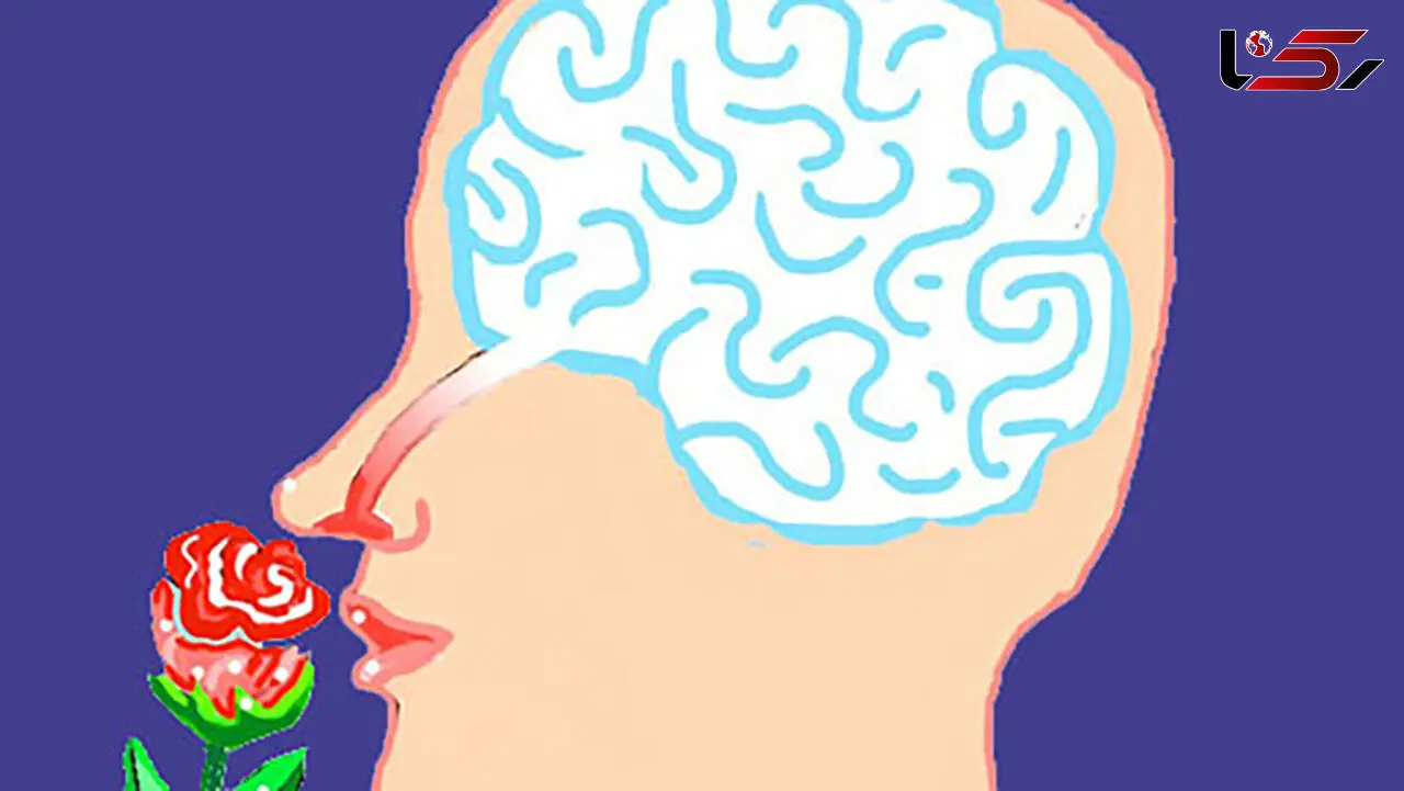 26 فوریه روز جهانی آگاهی از اختلال بویایی (World Anosmia Awareness Day)
