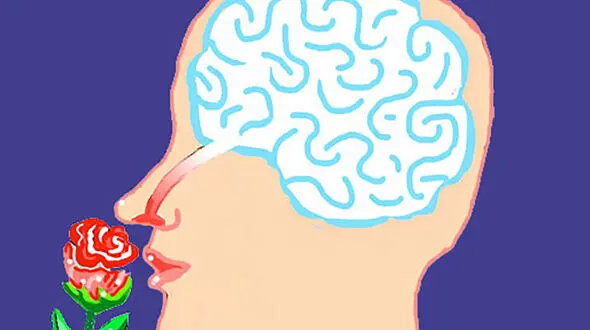 26 فوریه روز جهانی آگاهی از اختلال بویایی (World Anosmia Awareness Day)