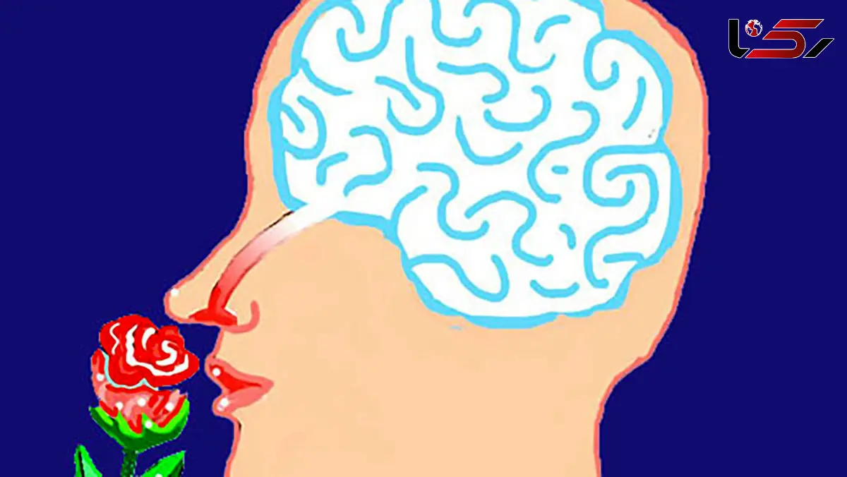 26 فوریه روز جهانی آگاهی از اختلال بویایی (World Anosmia Awareness Day)