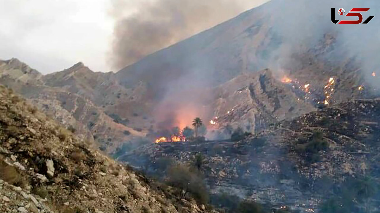 آتش سوزی 21 هکتار از اراضی ملی مرتعی خاییز تنگستان 