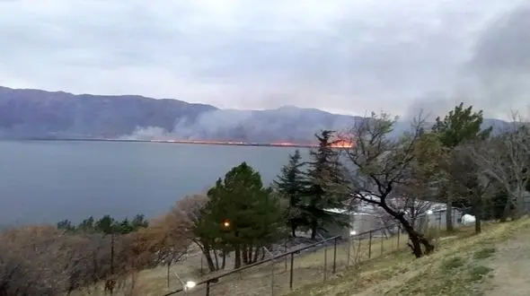 فیلم آتش سوزی در نیزارهای تالاب زریوار / آتش سوزی عمدی ماهی گیران سودجو 