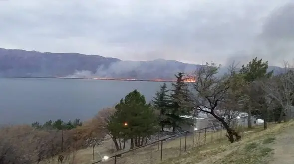 فیلم آتش سوزی در نیزارهای تالاب زریوار / آتش سوزی عمدی ماهی گیران سودجو 