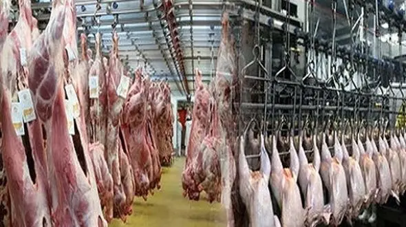 کشتارگاه جدید در قروه احداث شد/مردم از کشتار غیرمجاز خودداری کنند