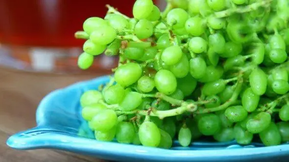 آبغوه سرشار از ویتامین ث/درمان چاقی با غوره تازه