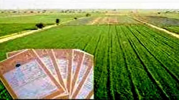 11 هزار سند مالکیت اراضی کشاورزی لرستان صادر شد