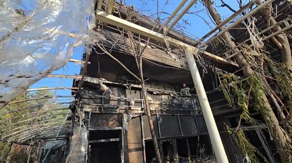 دستگیری عامل آتش سوزی عمدی بیمارستان قلب شهید رجایی