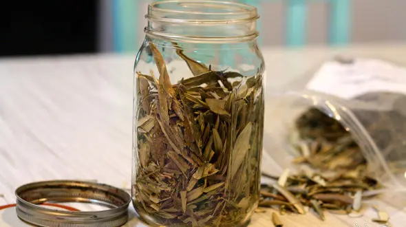 بهترین نوشیدنی های ضد فشار خون 