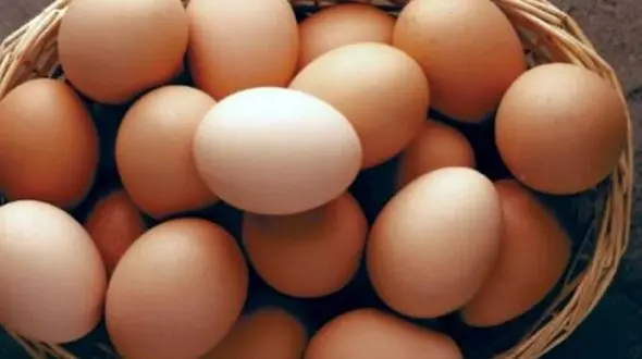 آیا مصرف تخم مرغ خام محلی می‌ تواند کم خونی را درمان کند؟
