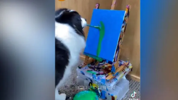 هنر سگ نقاش رو شد + فیلم