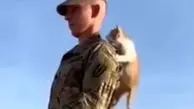 فیلم با مزه بالارفتن بچه گربه از سرباز در پادگان