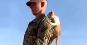 فیلم با مزه بالارفتن بچه گربه از سرباز در پادگان