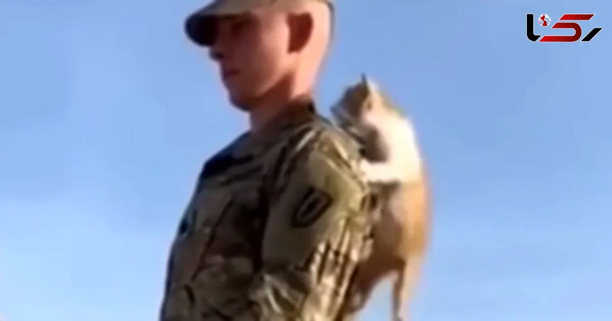 فیلم با مزه بالارفتن بچه گربه از سرباز در پادگان