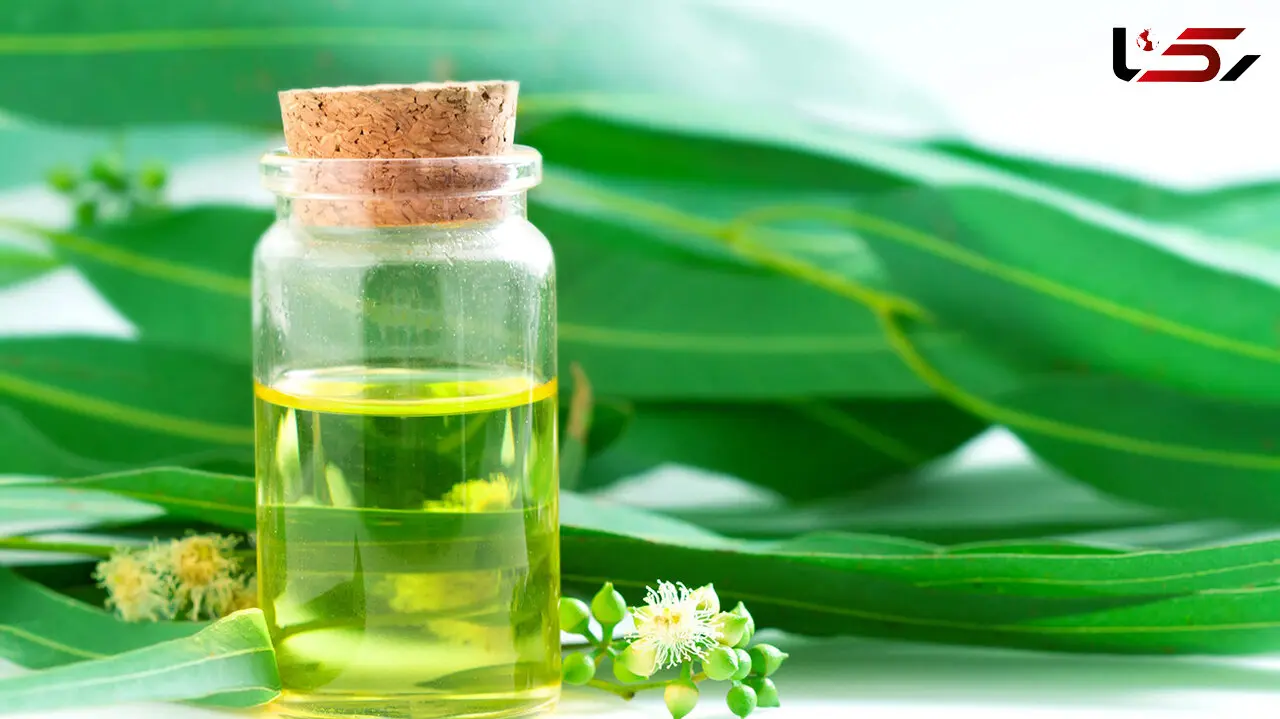 روغن های مفید برای افراد دارای آلرژی 